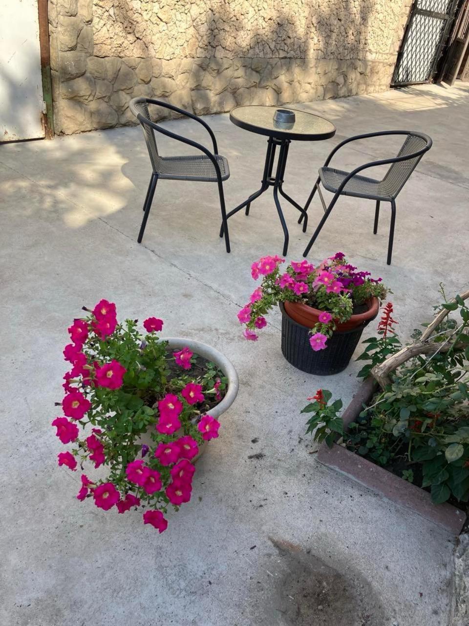 New Home 키시나우 외부 사진